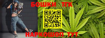 тгк Партизанск