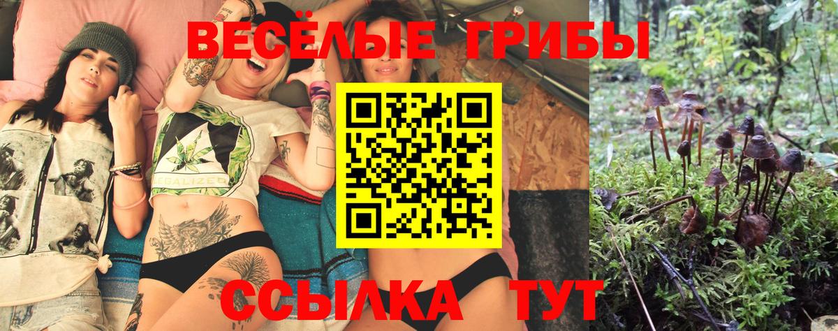 Галлюциногенные грибы GOLDEN TEACHER Симферополь